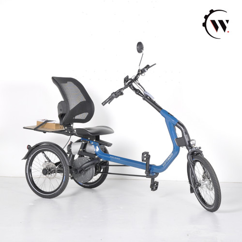 Van raam easyrider - van,